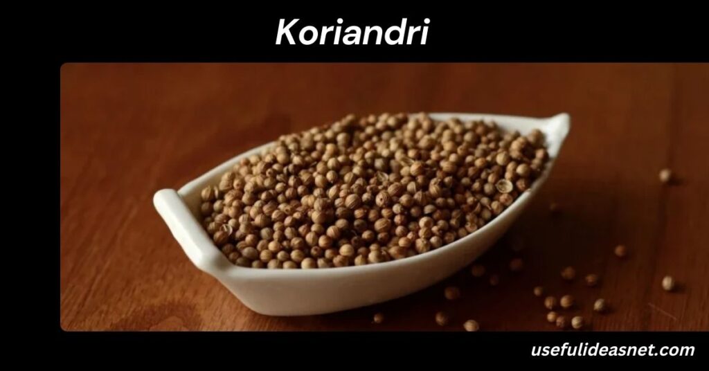 Koriandri: The Complete 2025 Guide to a Timeless Herb Koriandri